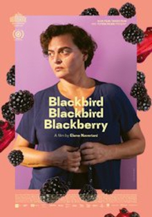 Blackbird Blackbird Blackberry Blackbird Blackbird Blackberry