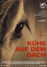 Kühe auf dem Dach Kühe auf dem Dach