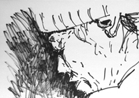 Grafik und Storyboard Grafik und Storyboard