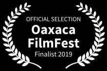 Einen Monat vor dem Festival waren alle tickets ausverkauft, alle Hotels komplett ausgebucht! Basler Vogelschwärme als Kurz-Essay-Film in Mexiko dabei! + Anreise als Finalist! Einen Monat vor dem Festival waren alle tickets ausverkauft, alle Hotels komplett ausgebucht! Basler Vogelschwärme als Kurz-Essay-Film in Mexiko dabei! + Anreise als Finalist!