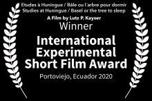 The Winner is: INTERNATIONAL EXPERIMENTAL SHORT FILM AWARD: Studies at Huningue / Basel or the tree to sleep The Winner is: INTERNATIONAL EXPERIMENTAL SHORT FILM AWARD: Studies at Huningue / Basel or the tree to sleep