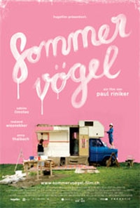 Sommervögel Sommervögel