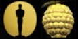 Gewinner*innen der 96. Oscars und der 44. Goldenen Himbeeren
