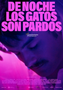 De Noche Los Gatos Son Pardos De Noche Los Gatos Son Pardos