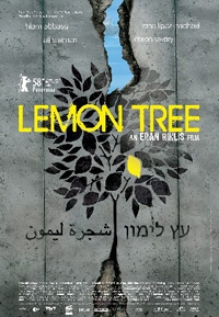 Lemon Tree Lemon Tree