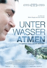 Unter Wasser Atmen Unter Wasser Atmen