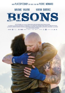 Bisons Bisons