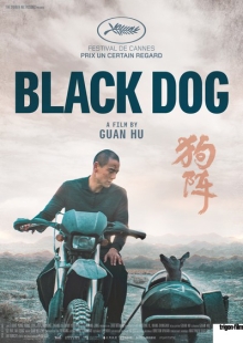 Black Dog Black Dog