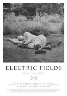 Electric Fields Electric Fields