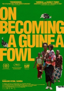 On Becoming A Guinea Fowl On Becoming A Guinea Fowl