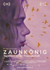 Zaunkönig Zaunkönig