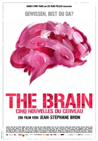 The Brain The Brain