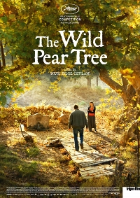 The Wild Pear Tree The Wild Pear Tree