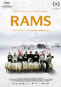 Rams - Hrútar Rams - Hrútar